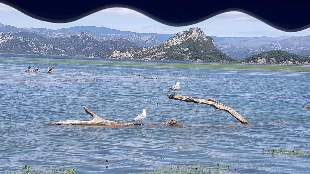 Whitehouse Villa Virpazar Esterno foto