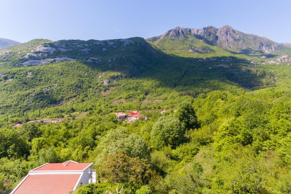 Whitehouse Villa Virpazar Esterno foto